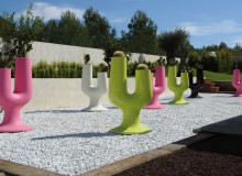 a_cactus_giulio-iacchetti_08_high