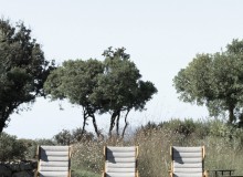 OUTDOOR-22_039-D1505_HR